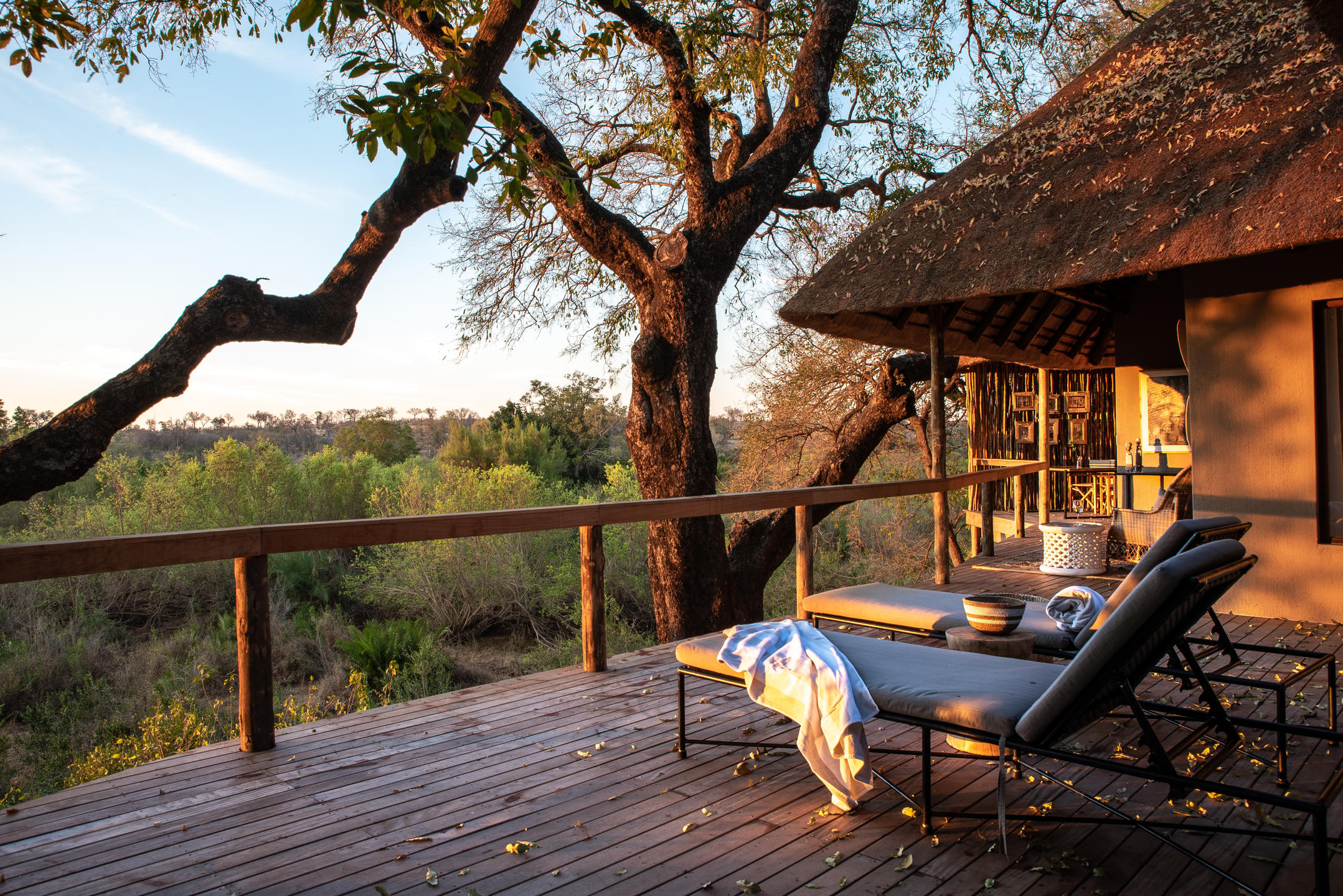 Londolozi Varty Camp thumbnail 3